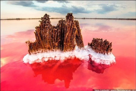 Rực rỡ khu đầm muối tuyệt đẹp ở bán đảo Crimean - 19 Đình Huế